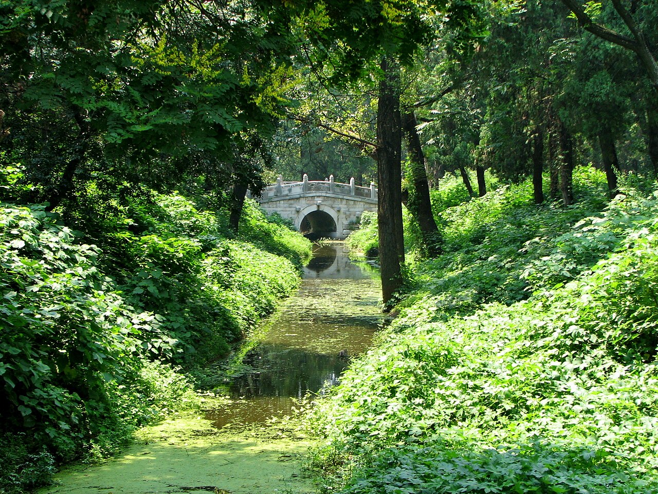 Cemetery of Confucius