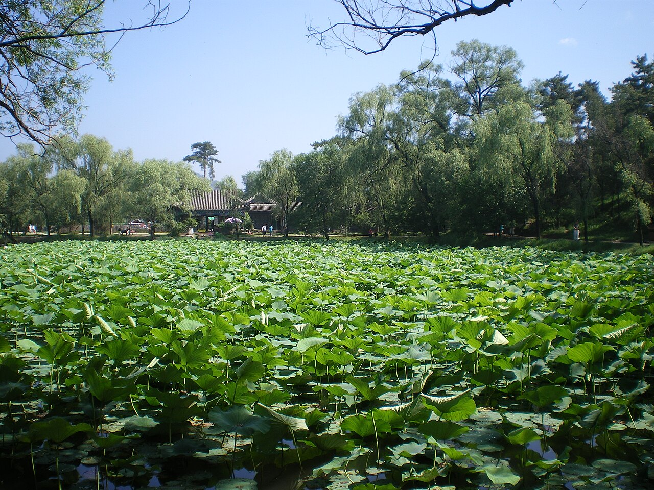 Chengde Mountain Resort